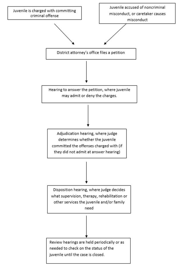 Arrest Process Flow Chart